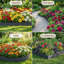 Bordure de paysage en acier galvanisé 5/8/10, bordure en métal pour aménagement paysager avec piquets, bordure de bordure de jardin pliable pour jardin