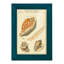 Coquilles de martini antique III sur papier-2027799087-2027799086