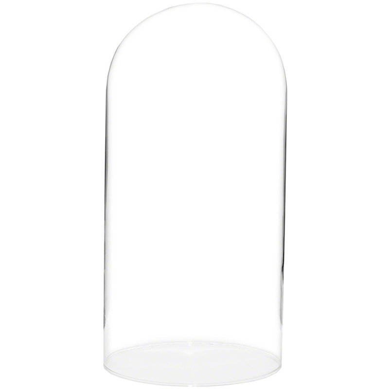 Cloche en verre Vucciria, 11" H x 5.5" W × 5.5" D, Sans base