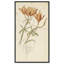 Floral par Albert-105312050-105312058