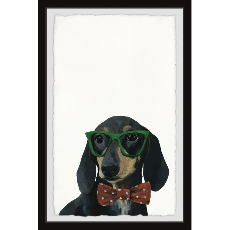 Stylish Dachshund by Marmont Hill - Single Picture Frame Print, 30cm H x 20cm W x 3.81cm D