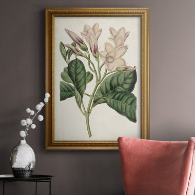 " Antique Botanical Collection IX " Painting Print