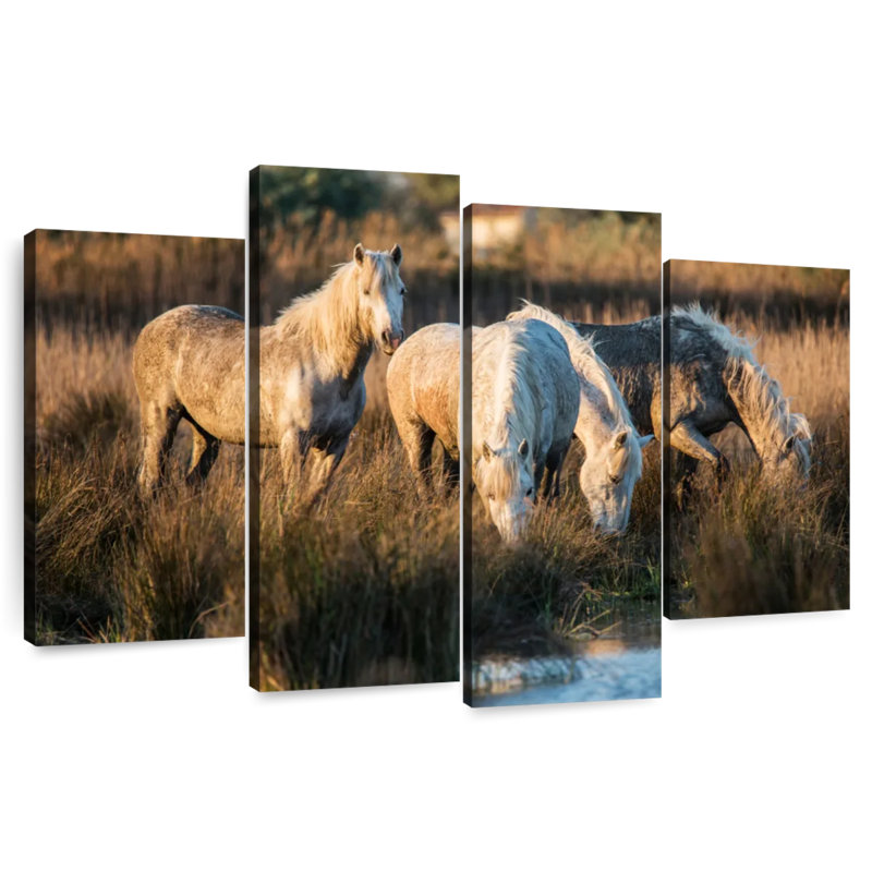 Les chevaux blancs de Camargue VII, H 54 po x l 84 po