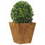 Asua Metal Planter Box-1391832529-1391832524