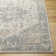 Oriental Indoor Rug