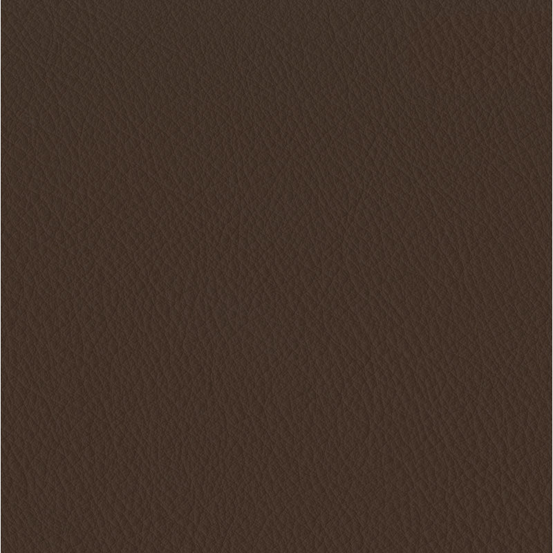 Elan Sable Sample