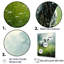 Cow in Verdant Pastures I, reproduction d'art sur toile-534812870-534812871