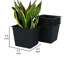 Jardinières en pot-1015538162