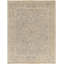 Reign Oriental Area Rug-473742054