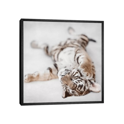 Indira II by Ashley Bradley - Print on Canvas