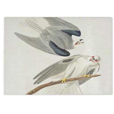 Tempered Glass Winged Hawk Chopping Board