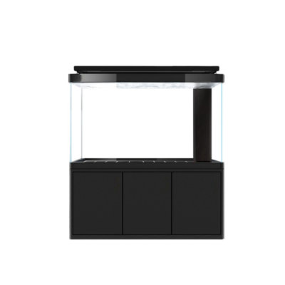 Simple Modern Rectangular Eco Aquarium Tank