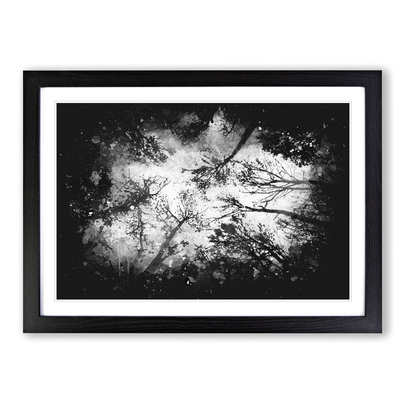 Vaulted Tree Branches - Picture Frame Graphic Art Print, Black Framed, 33cm H x 45cm W x 2cm D