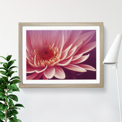 Artsy Chrysanthemum Flower - Single Picture Frame Print