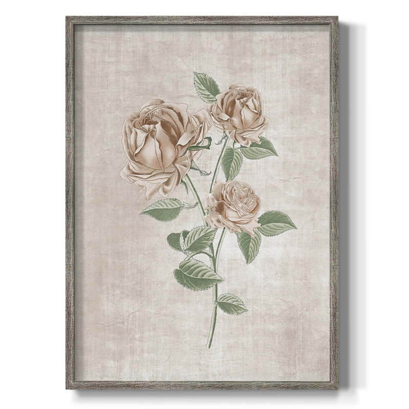 Blushing Rose Botanical II Framed Print - Solid Wood 49793, 11" H x 9" W