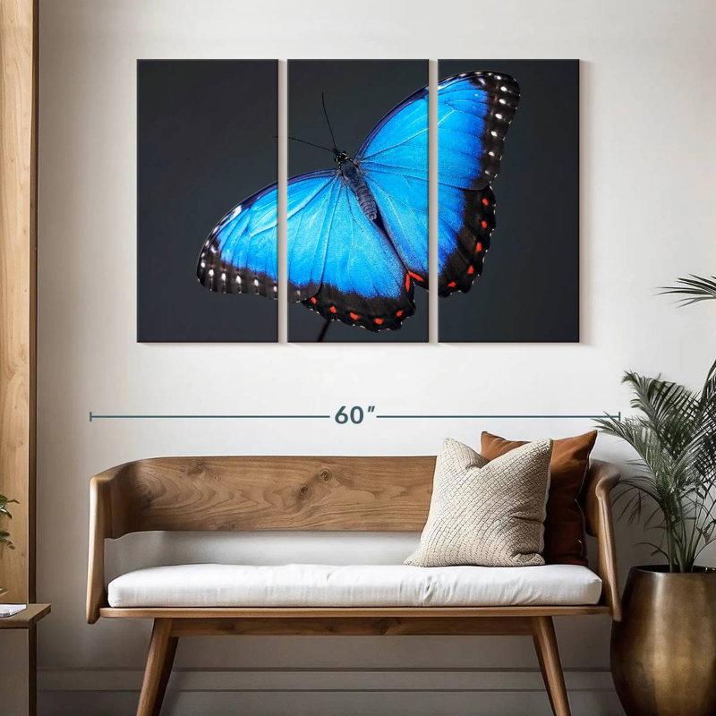 Brampt Blue Morpho Butterfly, 32" H x 50" W