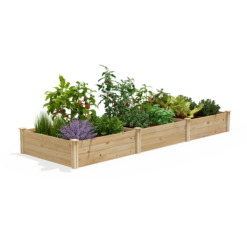 Lit de jardin surélevé en cèdre Original, H 14 po x l 144 po x P 48 po