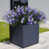 Mauve sélectionné