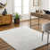 Savina Indoor Rug