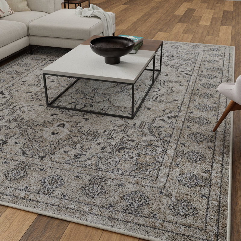 Aldijana Oriental Indoor Rug, Rectangle 2' x 3'