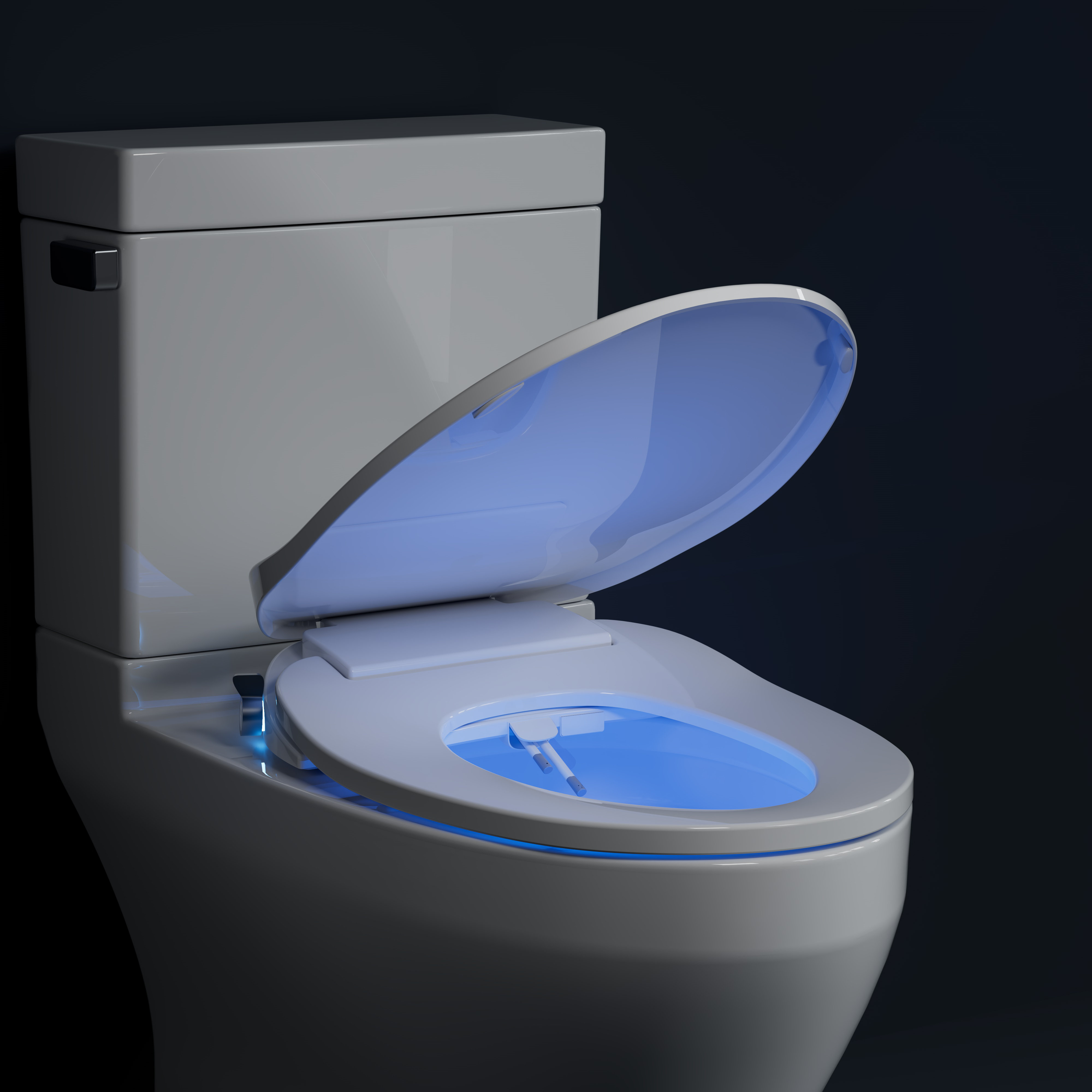 https://assets.wfcdn.com/im/32280014/compr-r85/2428/242853037/elongated-toilet-seat-bidet.jpg