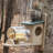 Birds Choice Squirrel Jar Feeder