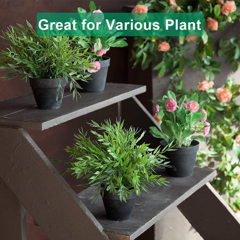 6 Inch Terracotta and Clay Pots for Plant with Saucer, Black