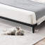 Base de lit 4,6 po Iwen-2114848503-2114848504