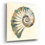 «Shell I» par Studio Mousseau-79918405