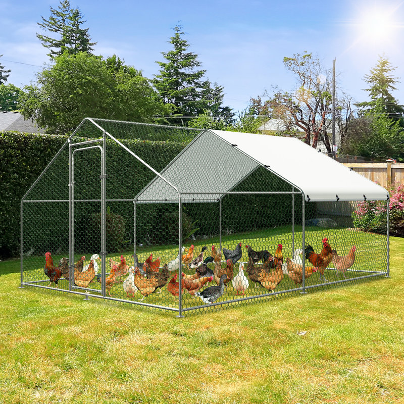 Denne Walk In Chicken Run, 78" H x 117" W x 157.2" D