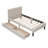 Upholstered Platform Bed with 2 Drawers-2054944444