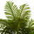 Artificial Palm Tree Green PP-119806090