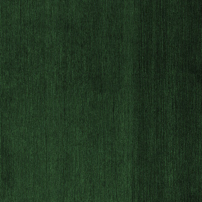 Indoor Rug