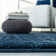Kissling Hand Woven Area Rug