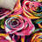 Cleveland Performance Floral Rug-22984841
