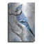 «Blue Jay 2» par Stellar Design Studio-1501898780