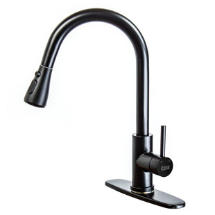 Aquo Pull Out Kitchen Faucet