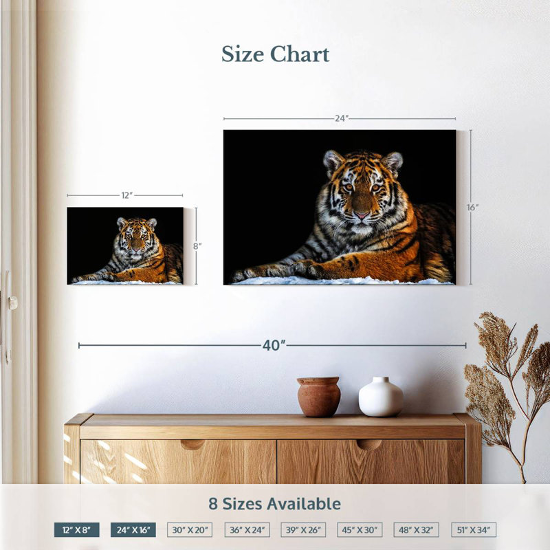 Tiger Snapshot, 16" H x 24" W