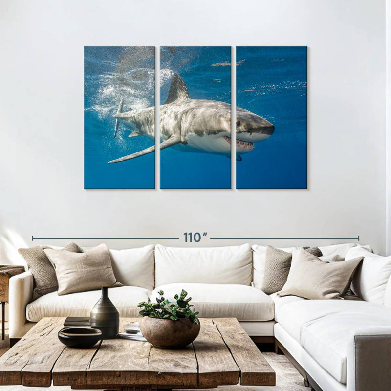 Shark, 48" H x 74" W