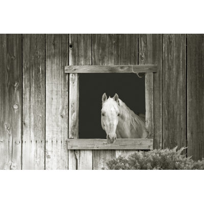 Welcom Mare Light 1 Piece Wall Art on Canvas