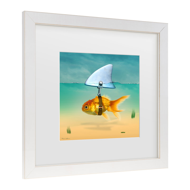 «Gold Fish» encadré par Mark Ashkenazi, H 13 po x l 13 po x P 0,75 po, Blanc