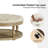 Lynde Kat Button Tufted Storage Ottoman-1608292092