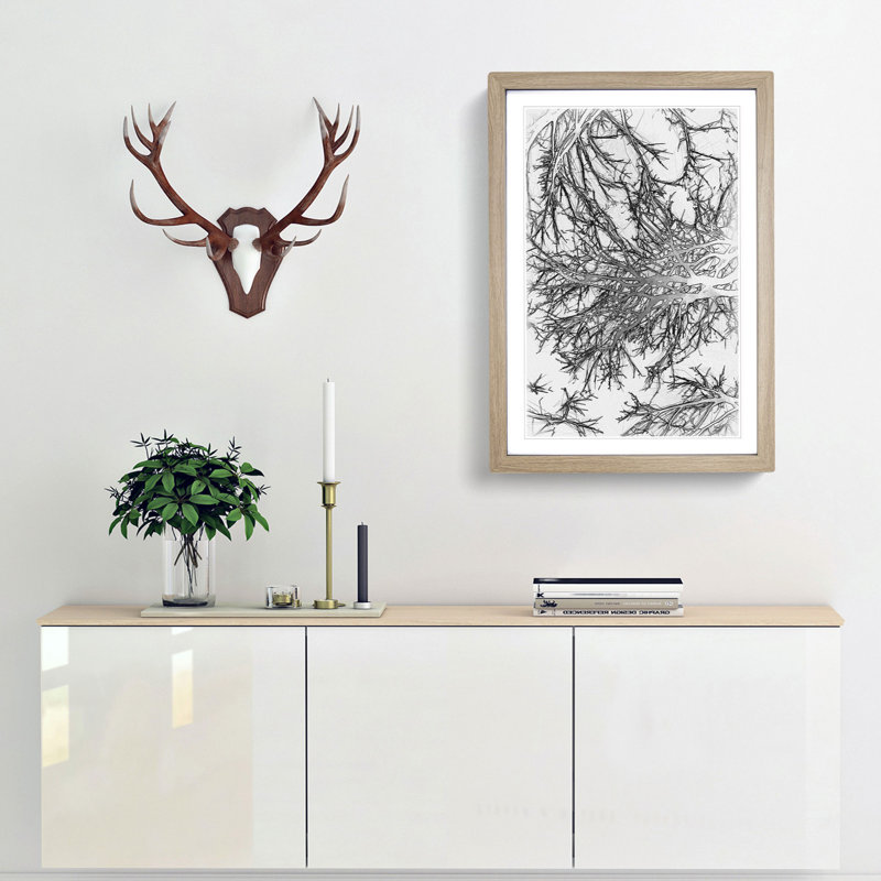 Tree Branches in Central Park New York in Abstract - Framed Print, Oak, 76cm H x 50cm W x 2cm D