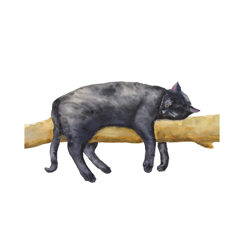 Sleeping Black Cat by Alexey Dmitrievich Shmyrov - Wrapped Canvas Print, 30.48 cm H x 45.72 cm W
