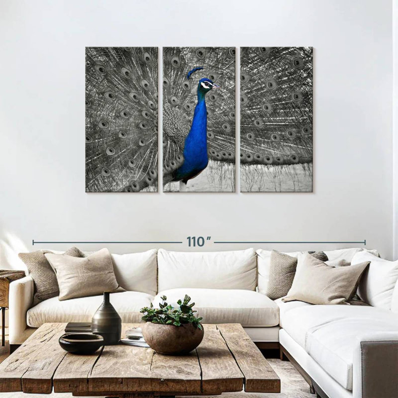 Brampt Peacock Pop, 48" H x 74" W