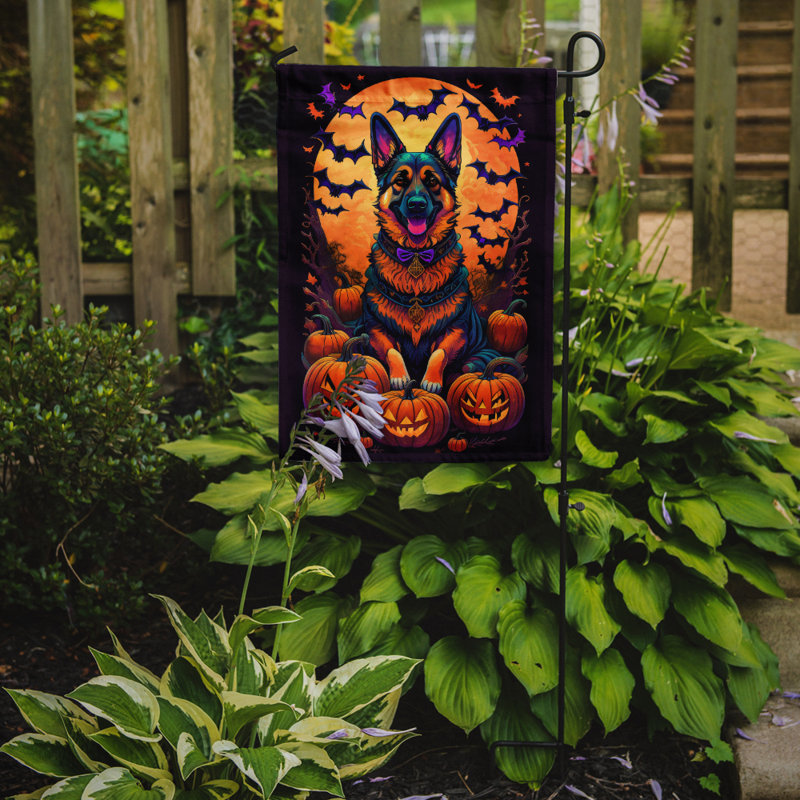 Drapeau de jardin Janelee, 15,5 po x 11,25 po