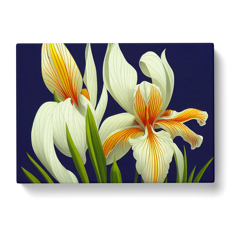 Adorable Iris Flowers - Wrapped Canvas, 35cm H x 50cm W x 3cm D