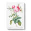 Pink Cabbage Roses In Bloom by Pierre-Joseph Redoute - Wrapped Canvas Painting-55325490