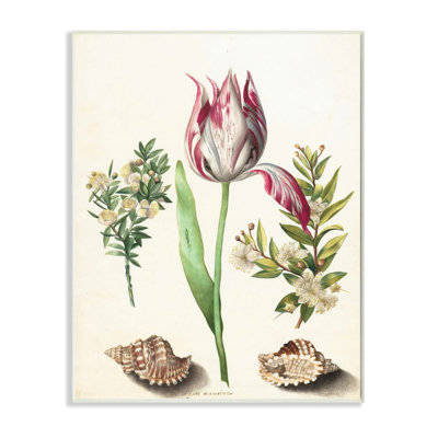 Floral tropical rose exotique par Ziwei Li-impression d’art graphique