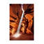 Reproduction sur toile de bolognaise "Guiding Light III"-98233370